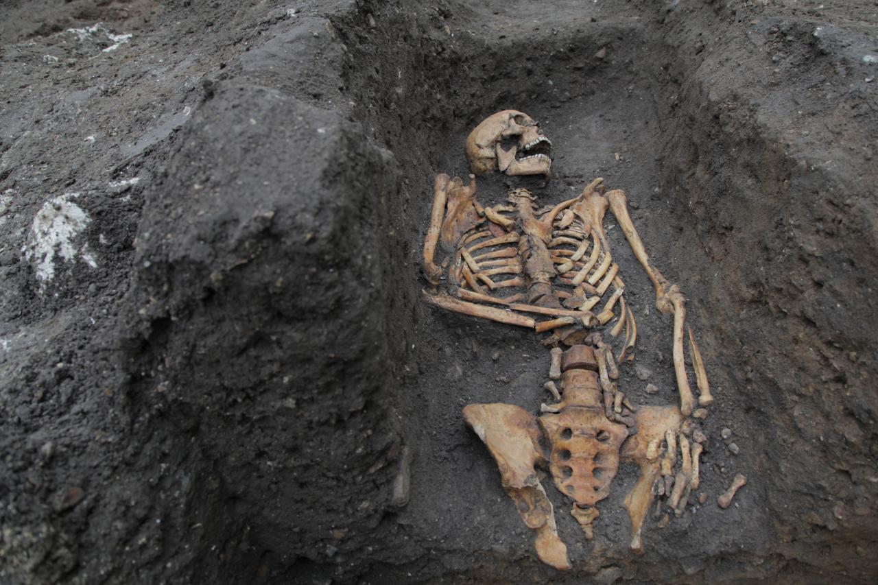 Trove of 'battered and broken' skeletons in Cambridge reveals brutal life  in 13th century Britain | The Sun