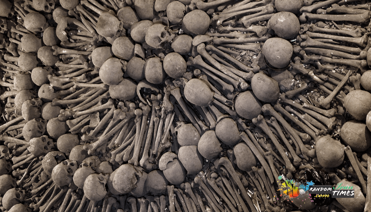 Skulls and bones at San Francisco Monastery catacombs in Lima, Peru –  RANDOM Times •