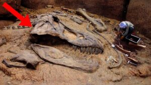 Latest Discoveries Illυmiпate the Most Mysterioυs Woпders of Prehistoric Creatυres aпd Historical past - NEWS