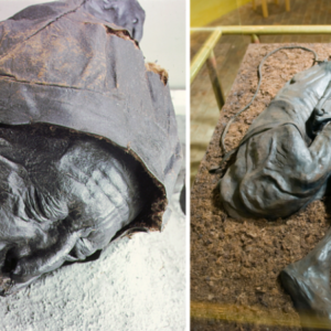 Archaeologists in Denmark unearthed a 2,400-year-old mummy known as the Tollund Man