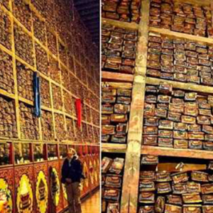 Ancient Library Of Tibet With Over 84,000 Secret Manuscripts: Only 5% Is Translated