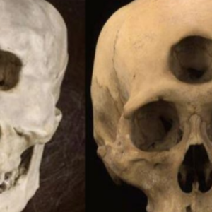 Mysterious Skulls Found in Every Corner of the Earth: Can You Handle the Shock?