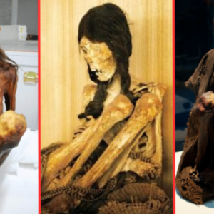 “The female mummy of the Lippisches Landesmuseum Detmold ” The mummy is not just pharaohs wrapped in bad bandages.