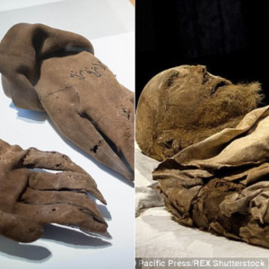 The mystery of the bishop’s mummy buried with a fetus since the 17th century