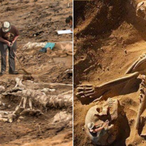 Archaeologists uncover the terrible life of a 10-foot-tall prehistoric man in North America