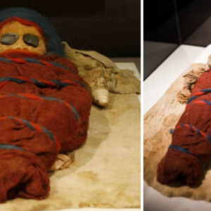 Well-preserved baby mummy (of approximately 200 corpses with European features that were excavated in the Tarmi basin).