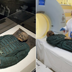 Future shock: Scientists give a 245-year-old mummy a CT scan to delve into his mysterious past