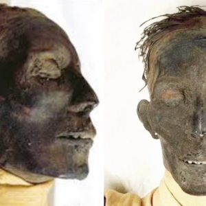 Mummy of Thutmose IV