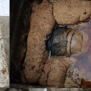 Perfectly preserved 700-year-old mummy in brown liquid looked only a few months old