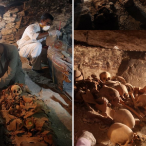 Unveiling Ancient Splendor: Discovery of Goldsmith’s Tomb, Resting for 3,500 Years in Luxor’s Historic Civil Service Cemetery