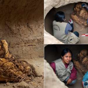 Mysterious mummy found in tomb in Peru with hands covering its face