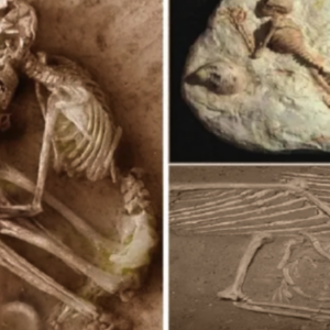 Unveiling the Truth: Mermaids’ Dominance on Earth and the Mysteries of Ancient Times Exposed.