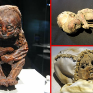 Body of 6,500-year-old baby goes on show in world’s biggest mummy exhibition