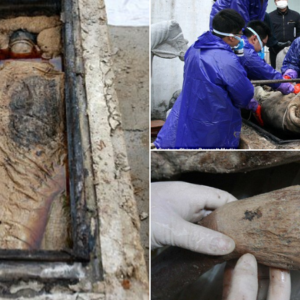 A perfectly preserved 700-year-old mummy in brown liquid looked only a few months old.