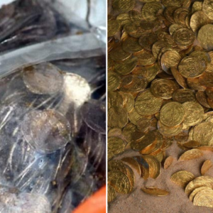 A 59-year-old unemployed man was lucky enough to find a huge treasure trove of 5,000 ancient coins worth 1 million pounds while digging on farmland.