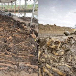 Grim mᴀss grave discovered with 20 skeletons that may have been stacked inside a box