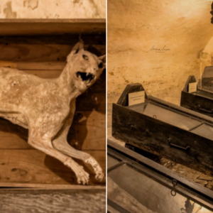 Explore The Enigmatic Mummies Of Wiuwert, A Centuries-Old Vault In Friesland, Netherlands, Where Time Stands Still Amidst Preserved Past Lives