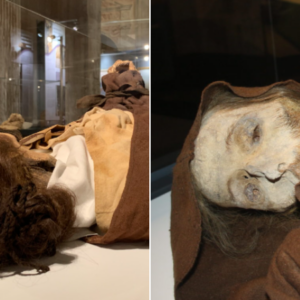 Rediscovering “Van Gogh”: The Enigmatic Red-Haired Mummy of Quinto, Qragon, Spain’s Mummies