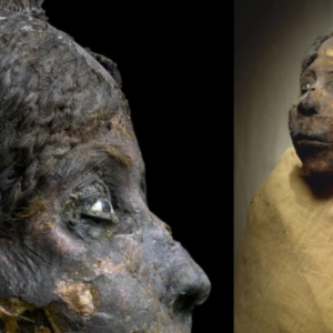 Mummy Majesty: Queen Nodjmet’s Exceptional Preservation from the Third Intermediate Period, 21st Dynasty (ca. 1069-945 BC) at the Egyptian Museum, Cairo.