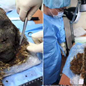 Meet The Mummified Polar Beauty, Her Long Eyelashes And Hair Still Intact After 900 Years