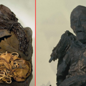 What is the secret of the 600-year-old mummy clutching the package?