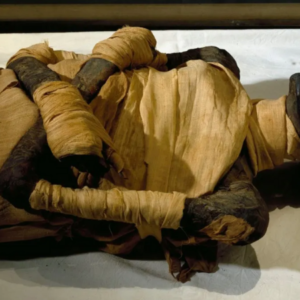 Mummy of Thutmose IV