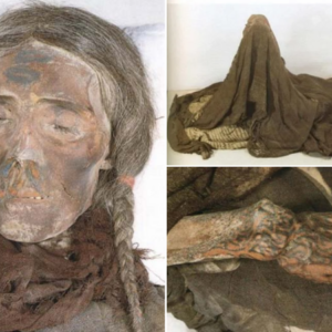 Unveiling The Tarim Mummies: A Captivating Encounter Of Eastern And Western Traditions