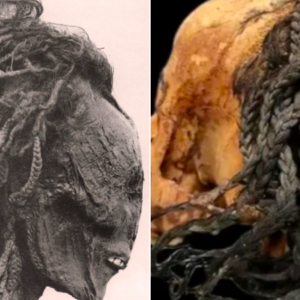 New Kingdom Discovery: Mummy of Young Woman Dating Back to c.1550-1069 B.C. Unearthed