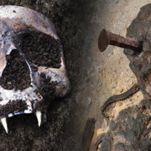 An iron bar was buried with Sozopol’s toothless “vampire skeleton” to prevent it from emerging from the grave