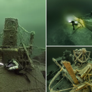 Unveiling the Enigmatic Mysteries of Baltic Sea Shipwrecks