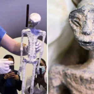 Mexican ᴅᴇᴀᴅ Alien Bodies are Not a Hoax: They Have Humanoid Features, Researchers Say