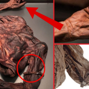 Old Croghan Man — a preserved human body over 2,000 years old