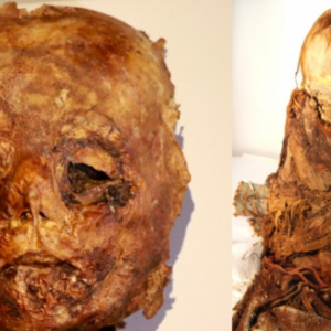 Peruvian Archaeologists Unearth Mummified Pre-Inca Baby ( Infant), Offering Insight into Ancient Civilizations’ Burial Customs and Life