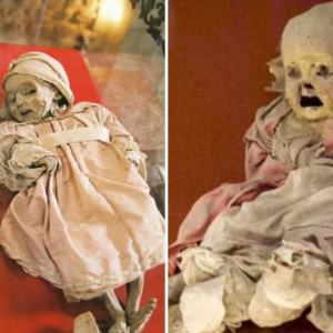 Young Mummies of Guanajuato, Mexico: A Fascinating and Insightful ᴀssemblage and the Mysterious Body Preservation of the Ancients.