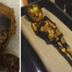 The unearthing of a Roman-era Egyptian baby mummy, aged around 8 months, adorned with a coating of golden powder.