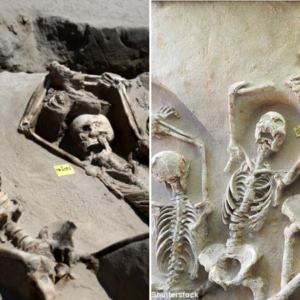 Echoes from the Past: Deciphering the Mystery of 80 Ancient Skeletons Found with Hands Raised Above Heads