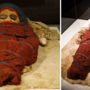 Well-preserved baby mummy (of approximately 200 corpses with European features that were excavated in the Tarmi basin).