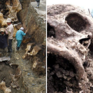 Skeletons Unearthed in an Ancient City Reveal Historical Secrets of East Africa.