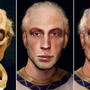 Ramses II’s Face Reconstruction Utilizing the Pharaoh’s Mummified Remain