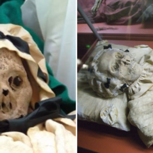 Unveiling the Hidden History of an 18th-Century Family: The Remarkable Conservation of the Cadiz Mummies