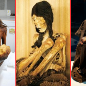 “The Female Mummy Of The Lippisches Landesmuseum Detmold ” The Mummy Is Not Just Pharaohs Wrapped In Bad Bandages.