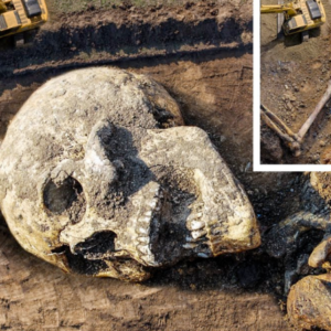 Horned Skeleton Unearthed: Ancient Giant with Horns Found in East Africa