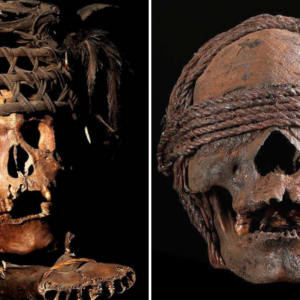 Ropes Of History: The Startling Discovery Of A Tethered Head – Was It A Punishment Or A Sacred Act