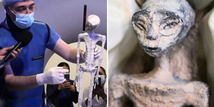 Mexican ᴅᴇᴀᴅ Alien Bodies are Not a Hoax: They Have Humanoid Features, Researchers Say