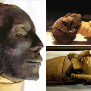 Mummy of Thutmose IV