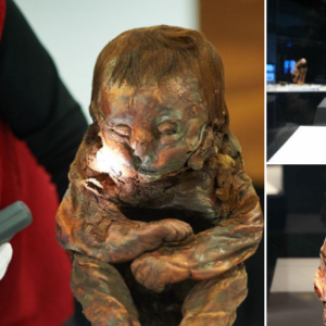 The Detmold Child: A 6,500-Year-Old Peruvian Child Mummy Wrapped in Linen with an Amulet Buried Around Its Neck