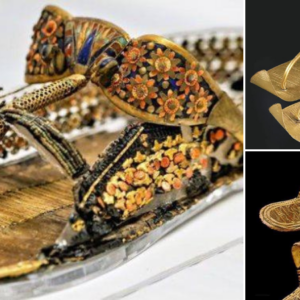 The Glittering Deserts of Ancient Egypt Belonging to Tutankhamun