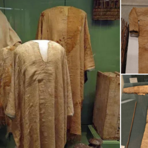 How an 800-Year-Old Norman Hau𝚋erk Armor Unveils Ancient Warfare Secrets in County Longford