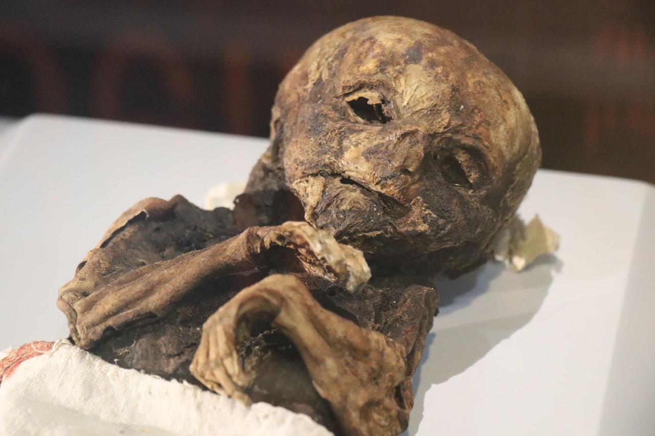 A mummy of a baby displayed at the Aksaray Museum, in Aksaray, Turkey, March 27, 2022. (IHA PH๏τo)