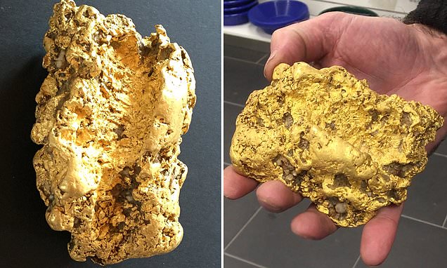 Mᴀssive 2kg gold nugget worth hundreds of thousands of dollars is discovered by a lucky digger | Daily Mail Online